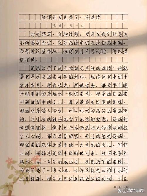 陪伴如何成为人生的温暖力量？-图2