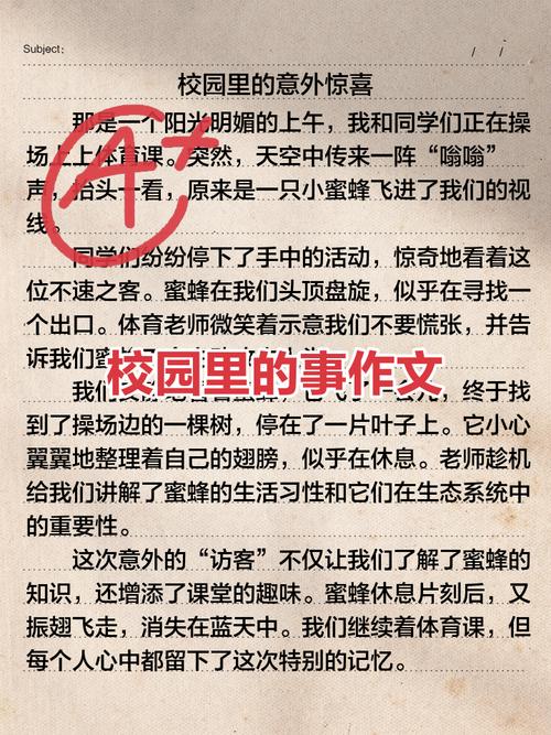 校园小事如何成就人生大文章？-图1