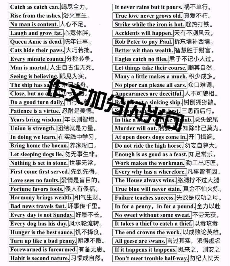 如何写出好的英语议论文？-图3