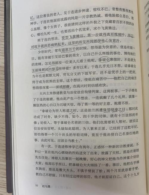 红与黑中红与黑象征人性何种矛盾？-图2