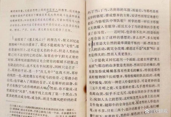 茅盾议论文有何独特见解与价值？-图1