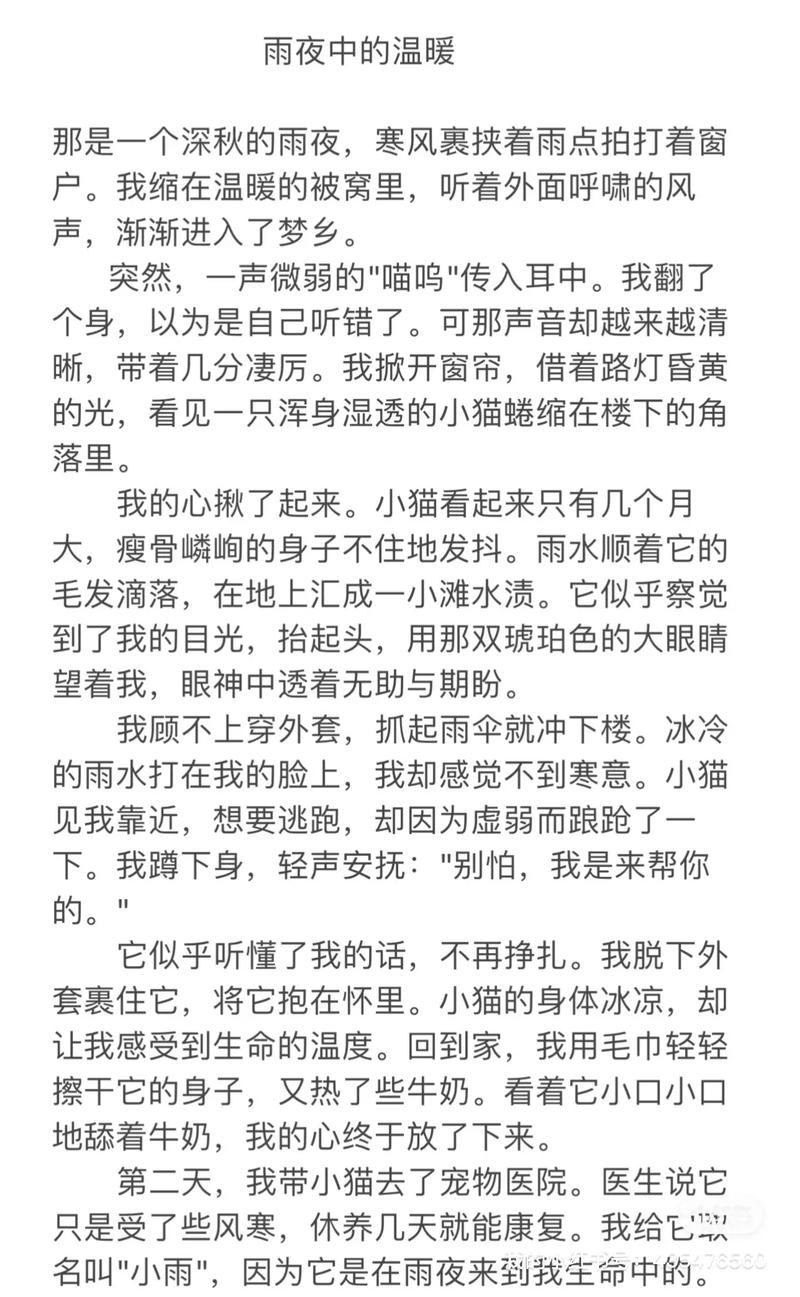 如何用行动践行对小动物的关爱？-图2