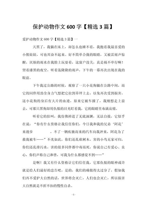 如何用行动践行对小动物的关爱？-图1