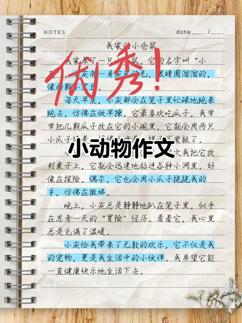 如何用行动践行对小动物的关爱？-图3