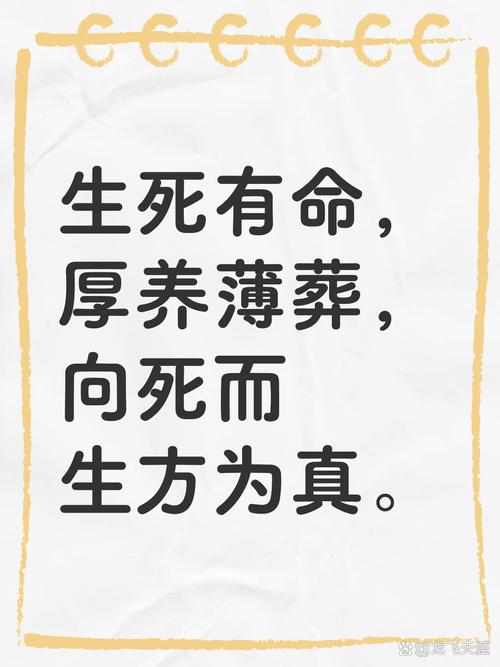 向死而生，何以照亮生命意义？-图3