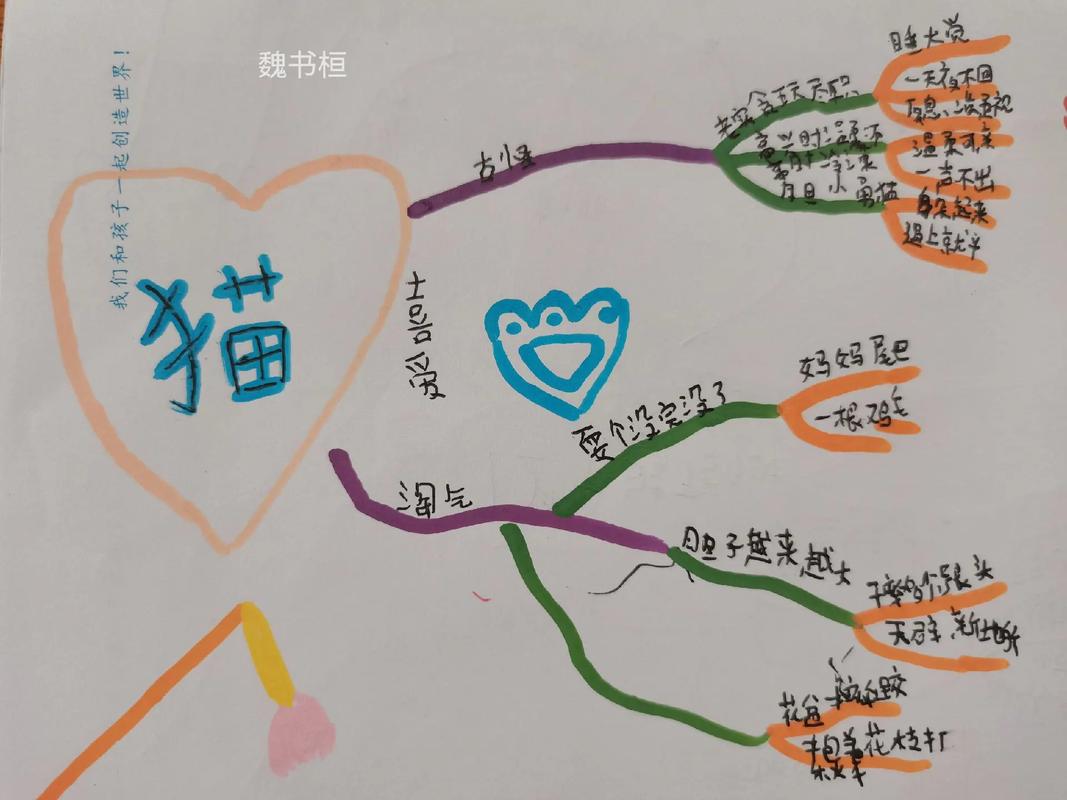 辅导导猫？猫咪也需要辅导吗？-图3