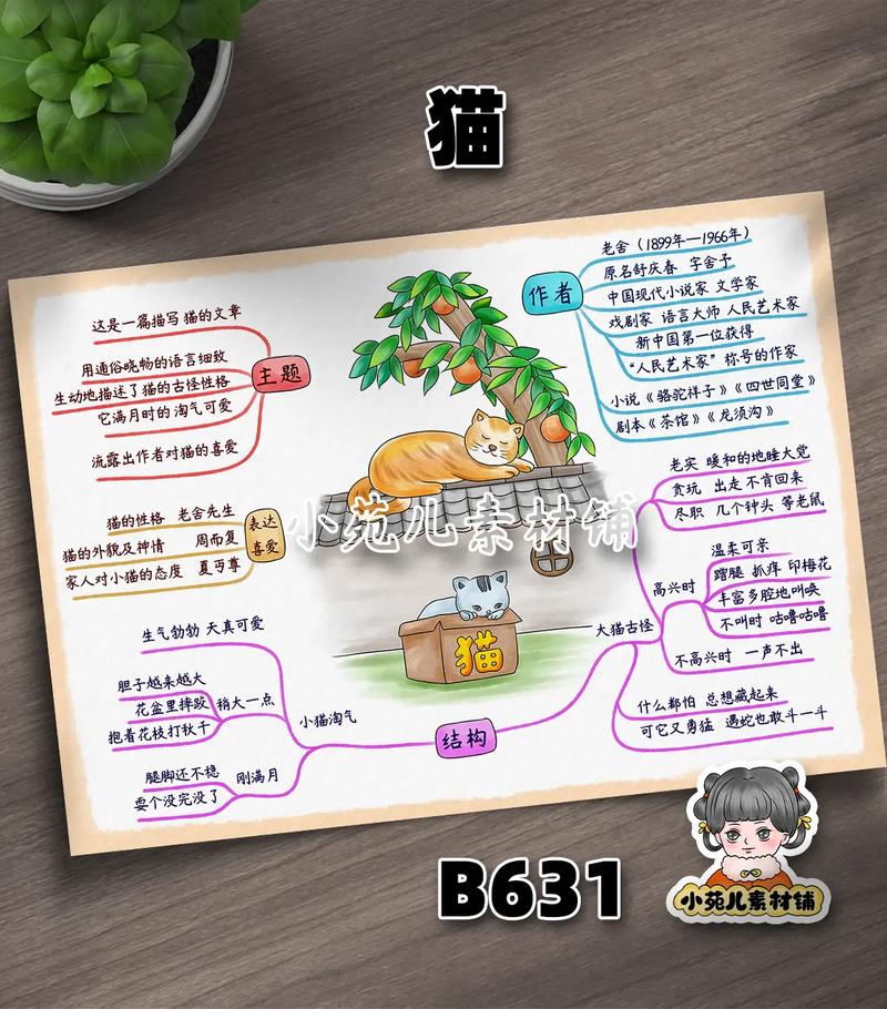 辅导导猫？猫咪也需要辅导吗？-图2