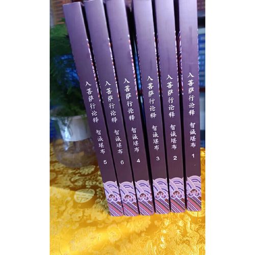 入行论辅导，生西法师如何引导？-图2