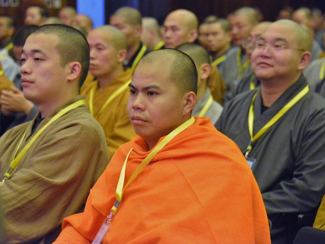 法师辅导前行133讲了什么关键内容？-图1